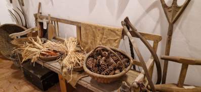 muzeum 28.11.2025 muzeum 28.11.2025