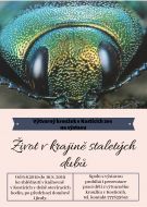 výstava