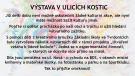 Výstava v ulicích Kostic
