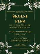školní ples