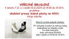 Zkušební provoz ledové plochy - veřejné bruslení o víkendu
